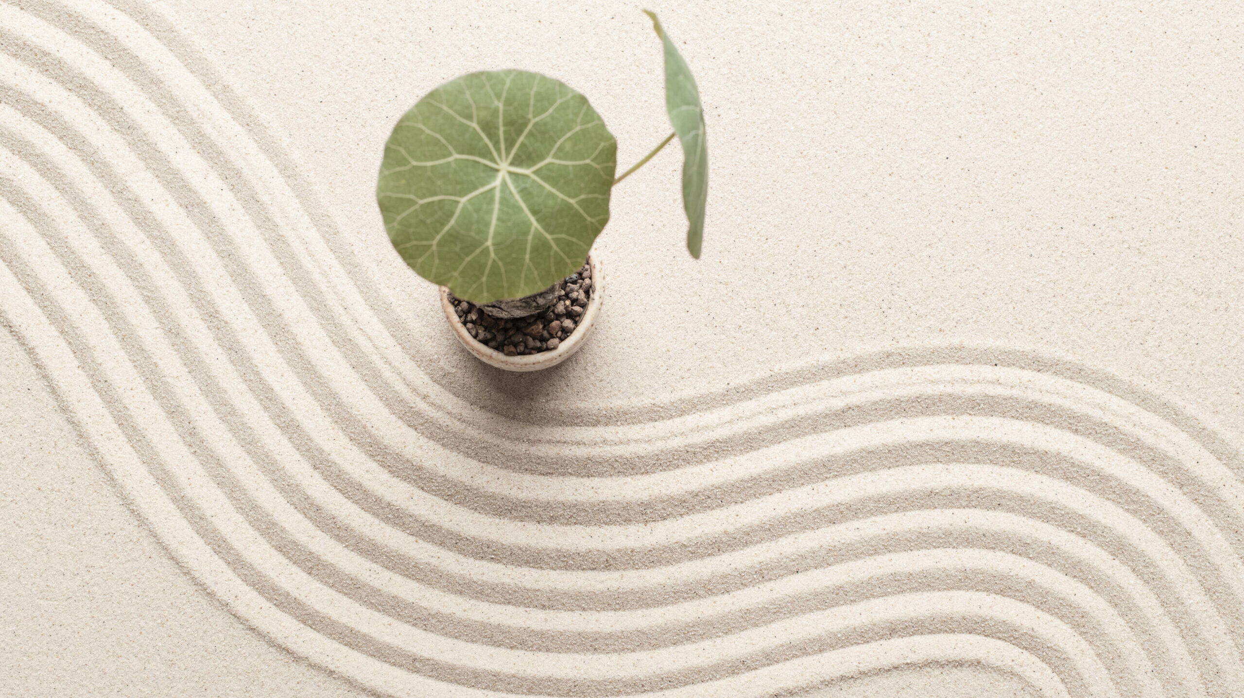 Zen Meditation – wöchentlich