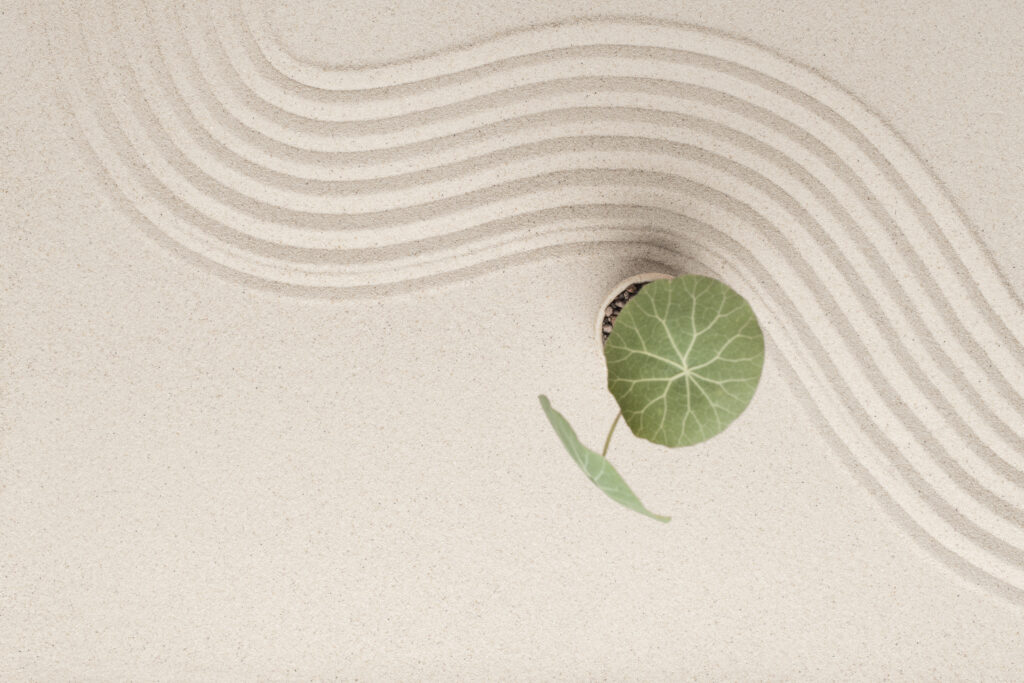 Einführung in die Meditation 03/26