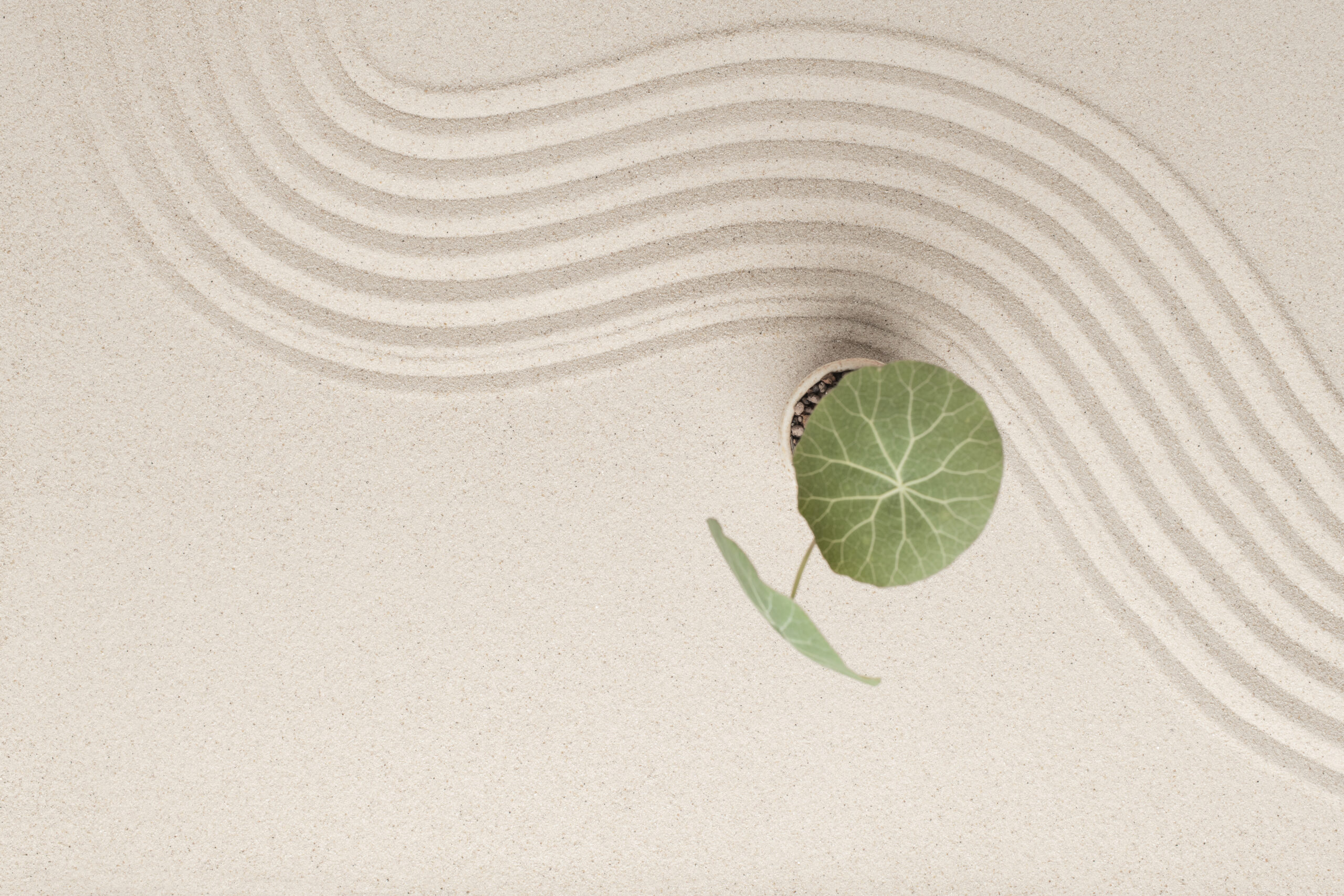 Einführung in die Meditation 04/26