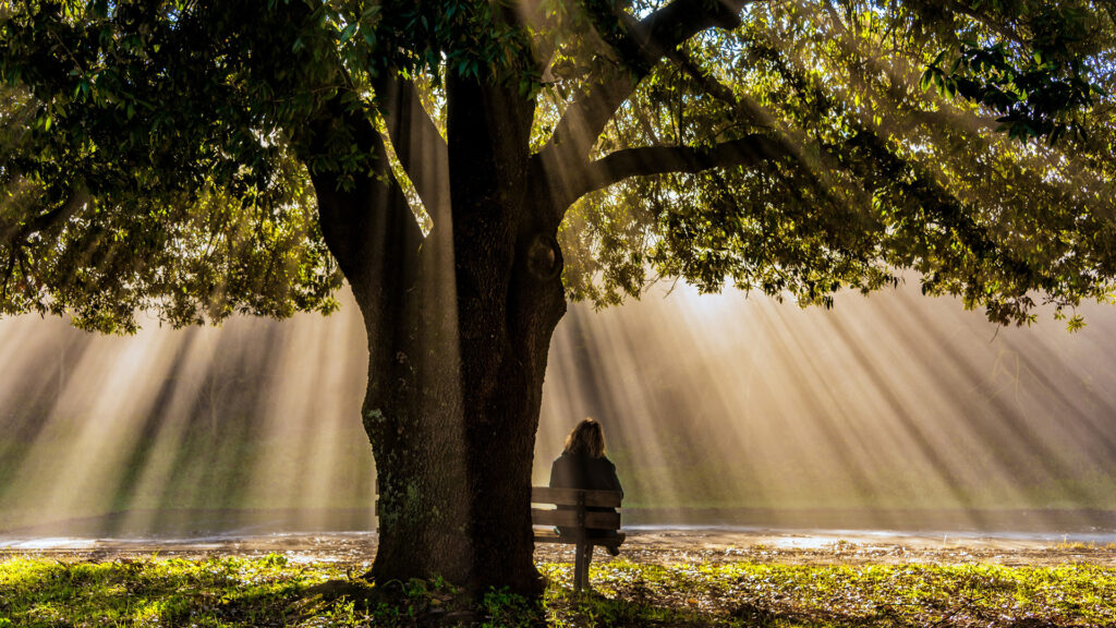 Pädagogische Weiterbildung
