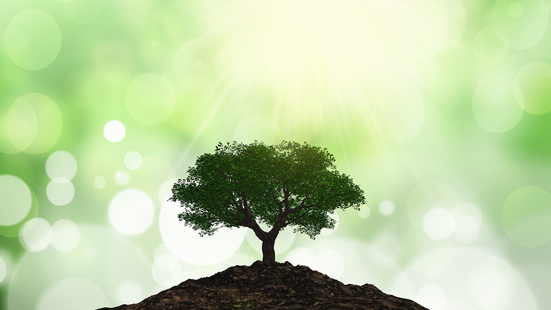 Angeleitete Meditation am Vormittag – wöchentlich