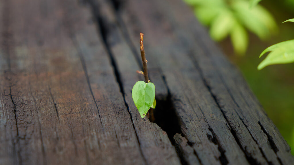 Pädagogische Weiterbildung