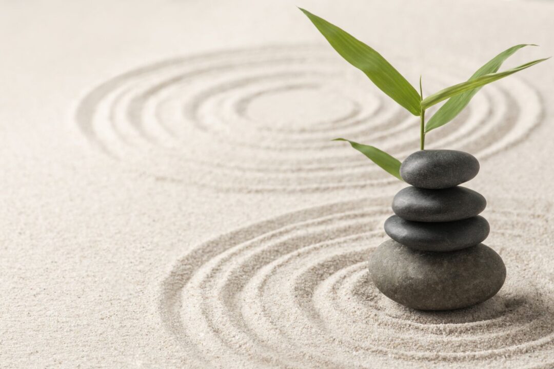 Angeleitete Meditation am Vormittag