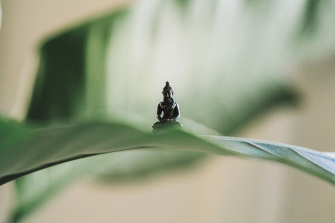 Zen Meditation – wöchentlich